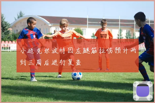 小迈克尔波特因左腿筋拉伤预计两到三周后进行复查